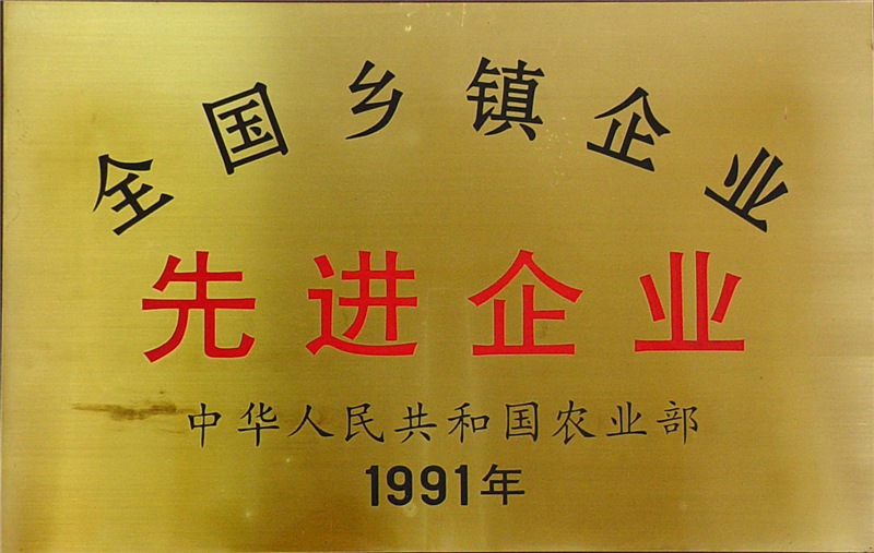 1991 - 副本.jpg